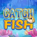 Catch Fish
